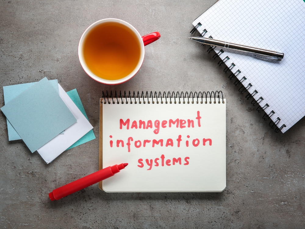review ngành hệ thống thông tin quản lý